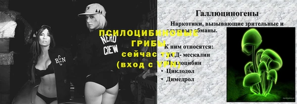 а пвп мука Алзамай