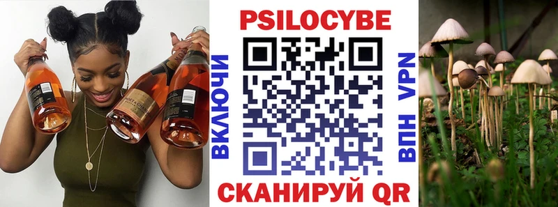 Псилоцибиновые грибы мухоморы  Венёв 